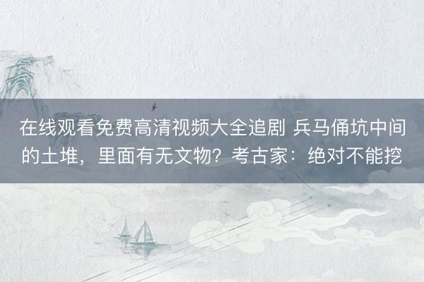 在线观看免费高清视频大全追剧 兵马俑坑中间的土堆，里面有无文物？考古家：绝对不能挖