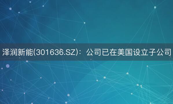 泽润新能(301636.SZ)：公司已在美国设立子公司