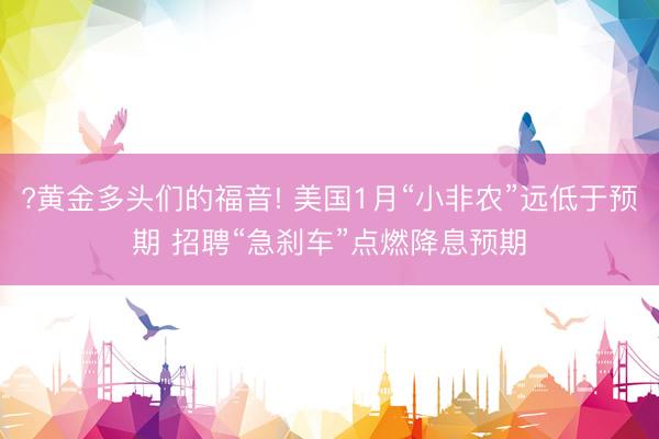 ?黄金多头们的福音! 美国1月“小非农”远低于预期 招聘“急刹车”点燃降息预期