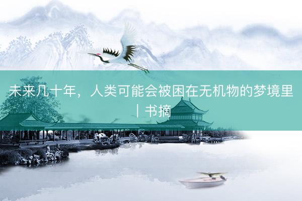 未来几十年，人类可能会被困在无机物的梦境里｜书摘