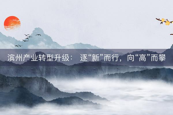 滨州产业转型升级： 逐“新”而行，向“高”而攀