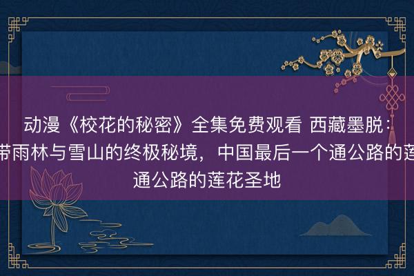 动漫《校花的秘密》全集免费观看 西藏墨脱：穿越热带雨林与雪山的终极秘境，中国最后一个通公路的莲花圣地