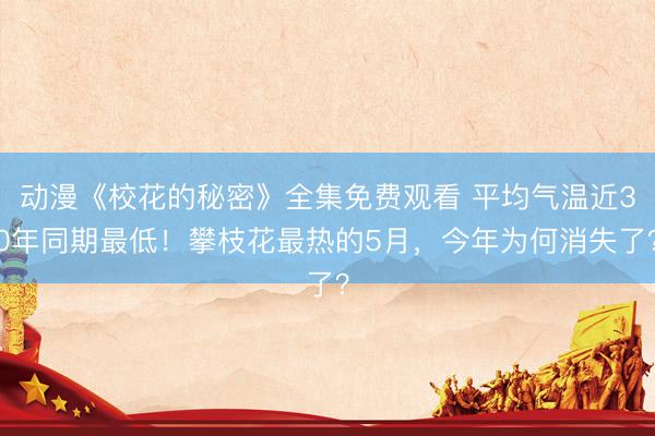 动漫《校花的秘密》全集免费观看 平均气温近30年同期最低！攀枝花最热的5月，今年为何消失了？