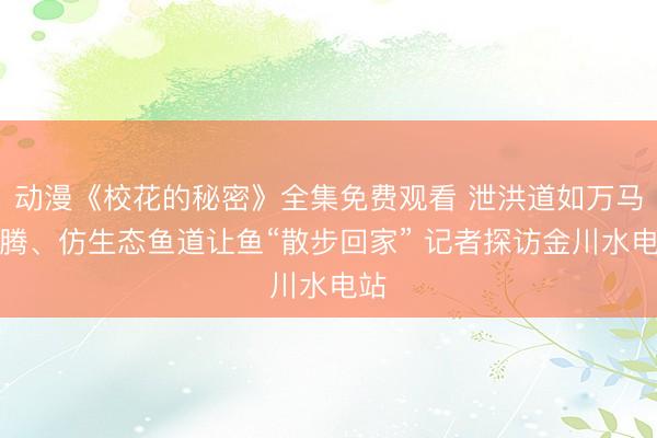 动漫《校花的秘密》全集免费观看 泄洪道如万马奔腾、仿生态鱼道让鱼“散步回家” 记者探访金川水电站