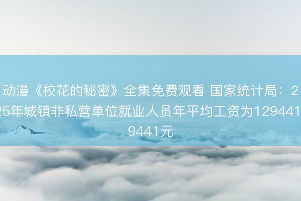 动漫《校花的秘密》全集免费观看 国家统计局：2025年城镇非私营单位就业人员年平均工资为129441元