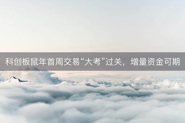 科创板鼠年首周交易“大考”过关，增量资金可期