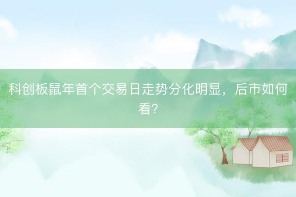 科创板鼠年首个交易日走势分化明显，后市如何看？