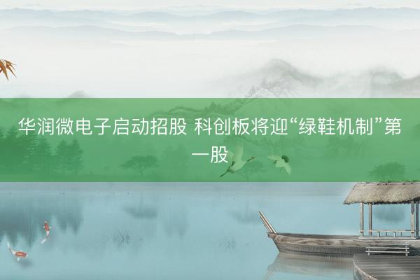 华润微电子启动招股 科创板将迎“绿鞋机制”第一股