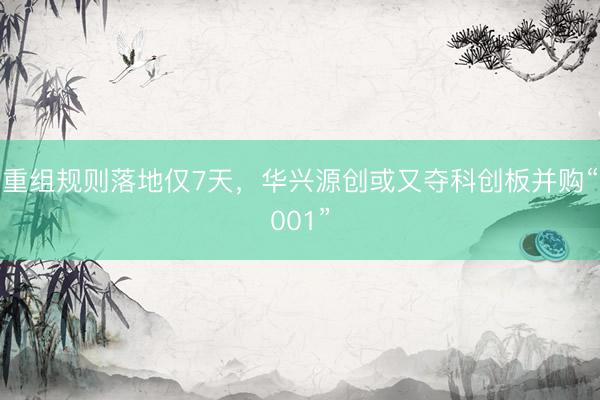 重组规则落地仅7天，华兴源创或又夺科创板并购“001”