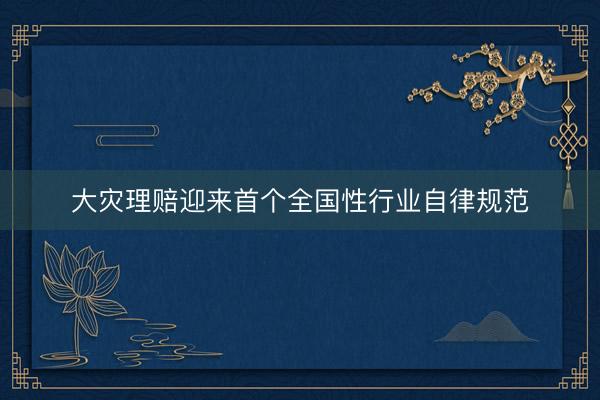 大灾理赔迎来首个全国性行业自律规范