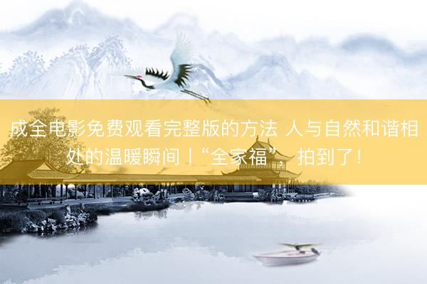 成全电影免费观看完整版的方法 人与自然和谐相处的温暖瞬间丨“全家福”，拍到了！