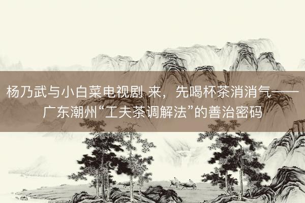 杨乃武与小白菜电视剧 来，先喝杯茶消消气——广东潮州“工夫茶调解法”的善治密码