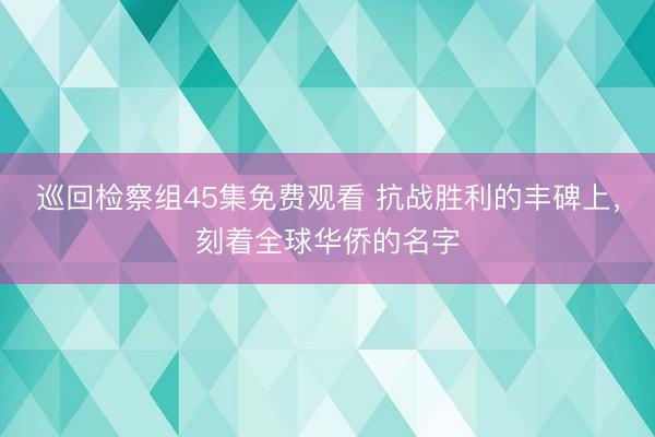 巡回检察组45集免费观看 抗战胜利的丰碑上，刻着全球华侨的名字