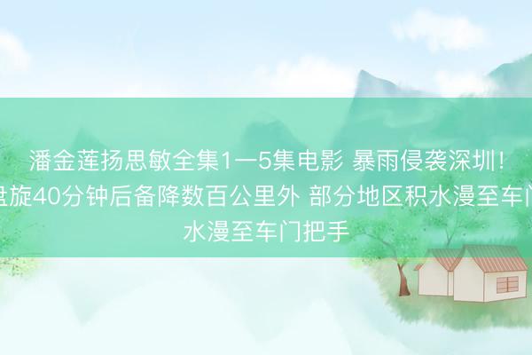 潘金莲扬思敏全集1一5集电影 暴雨侵袭深圳！航班盘旋40分钟后备降数百公里外 部分地区积水漫至车门把手