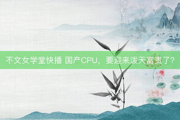 不文女学堂快播 国产CPU,要迎来泼天富贵了?