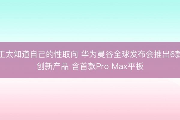 正太知道自己的性取向 华为曼谷全球发布会推出6款创新产品 含首款Pro Max平板