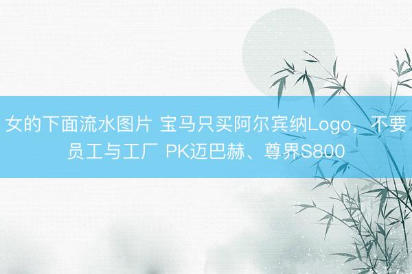 女的下面流水图片 宝马只买阿尔宾纳Logo，不要员工与工厂 PK迈巴赫、尊界S800
