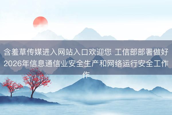 含羞草传媒进入网站入口欢迎您 工信部部署做好2026年信息通信业安全生产和网络运行安全工作