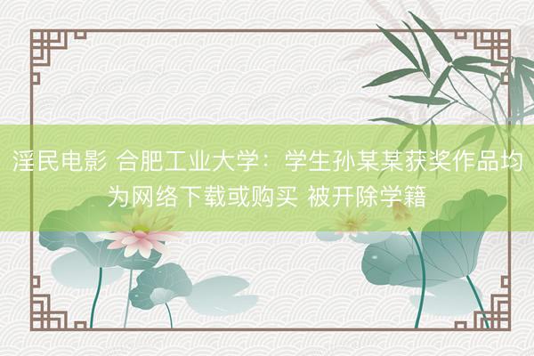 淫民电影 合肥工业大学：学生孙某某获奖作品均为网络下载或购买 被开除学籍