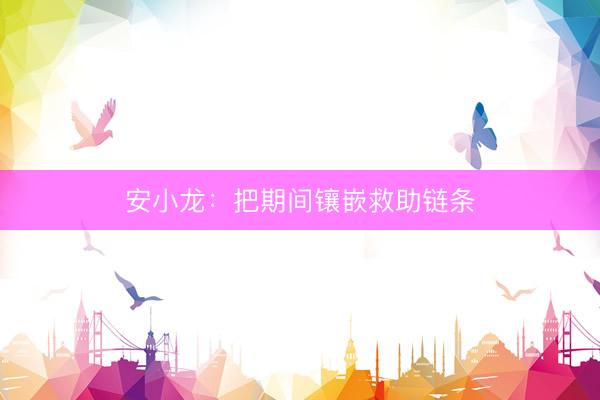 安小龙：把期间镶嵌救助链条