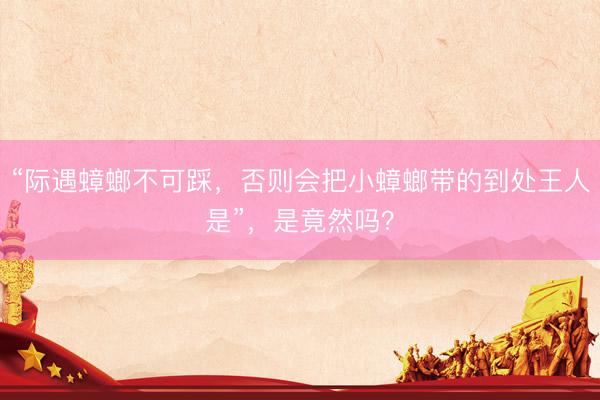 “际遇蟑螂不可踩，否则会把小蟑螂带的到处王人是”，是竟然吗？