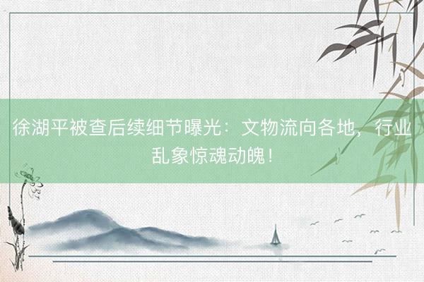 徐湖平被查后续细节曝光：文物流向各地，行业乱象惊魂动魄！