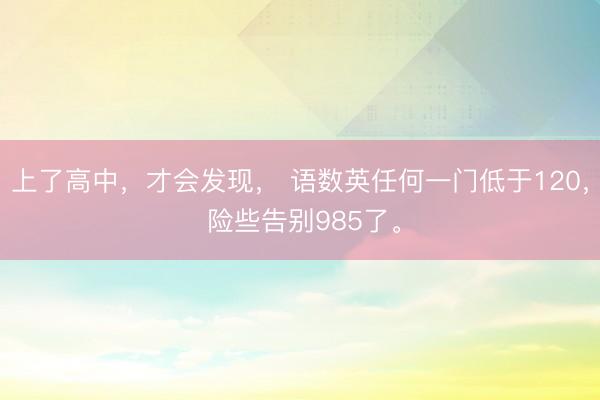 上了高中，才会发现， 语数英任何一门低于120， 险些告别985了。