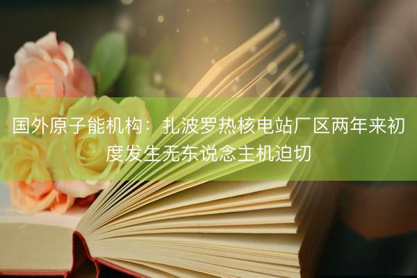 国外原子能机构：扎波罗热核电站厂区两年来初度发生无东说念主机迫切