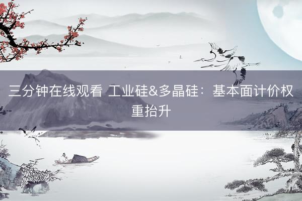 三分钟在线观看 工业硅&amp;多晶硅：基本面计价权重抬升