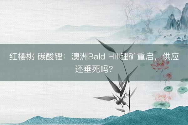 红樱桃 碳酸锂：澳洲Bald Hill锂矿重启，供应还垂死吗？