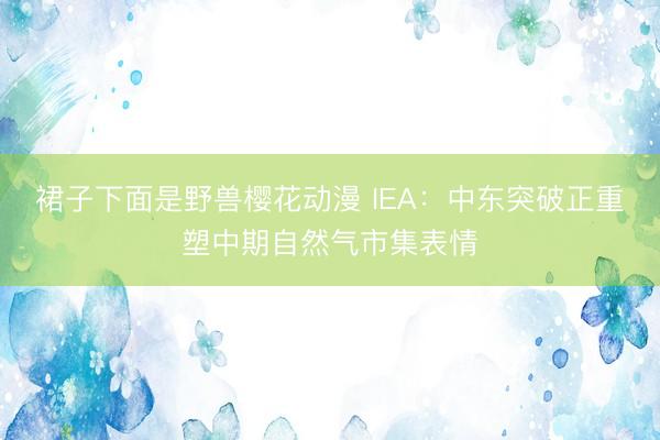 裙子下面是野兽樱花动漫 IEA：中东突破正重塑中期自然气市集表情