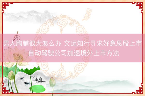 男人胸脯很大怎么办 文远知行寻求好意思股上市 自动驾驶公司加速境外上市方法