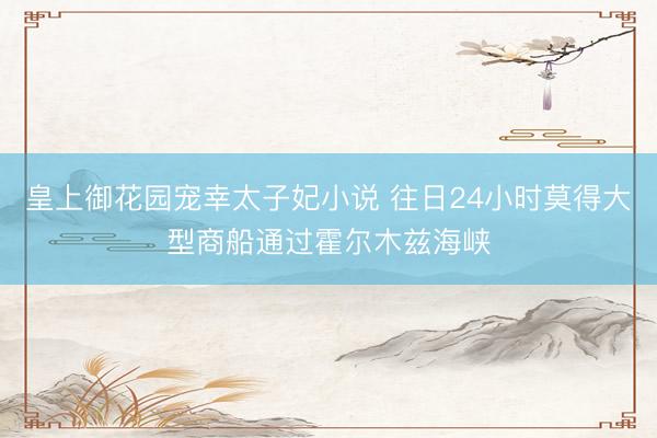 皇上御花园宠幸太子妃小说 往日24小时莫得大型商船通过霍尔木兹海峡