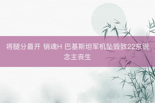 将腿分最开 销魂H 巴基斯坦军机坠毁致22东说念主丧生