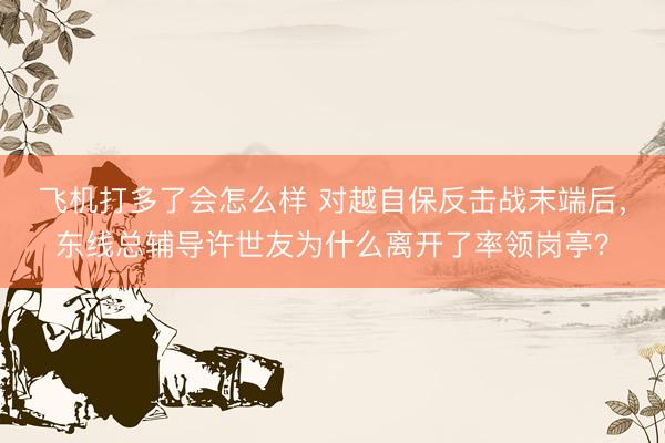 飞机打多了会怎么样 对越自保反击战末端后，东线总辅导许世友为什么离开了率领岗亭？