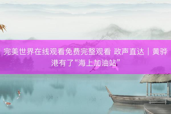 完美世界在线观看免费完整观看 政声直达｜黄骅港有了“海上加油站”