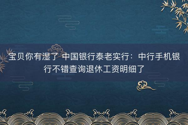 宝贝你有湿了 中国银行泰老实行：中行手机银行不错查询退休工资明细了