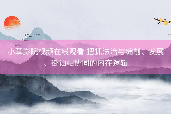 小草影院视频在线观看 把抓法治与编削、发展、褂讪相协同的内在逻辑