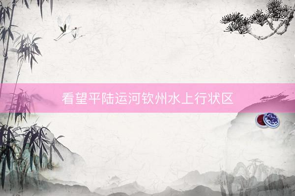看望平陆运河钦州水上行状区