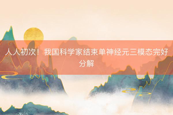 人人初次！我国科学家结束单神经元三模态完好分解