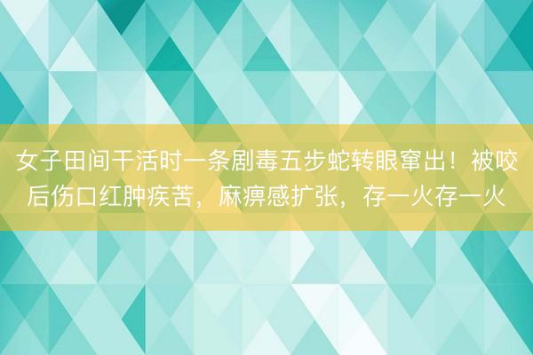 女子田间干活时一条剧毒五步蛇转眼窜出！被咬后伤口红肿疾苦，麻痹感扩张，存一火存一火